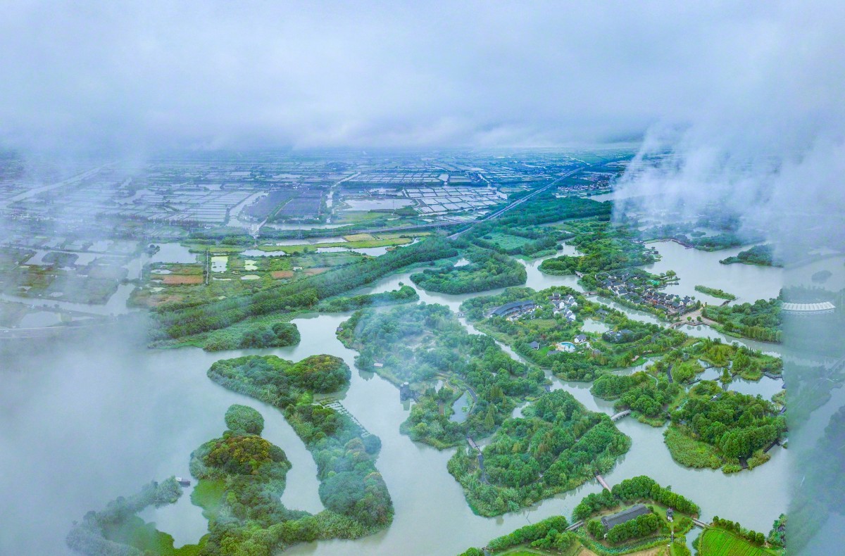 江苏各界共话发展，致敬领导与同胞