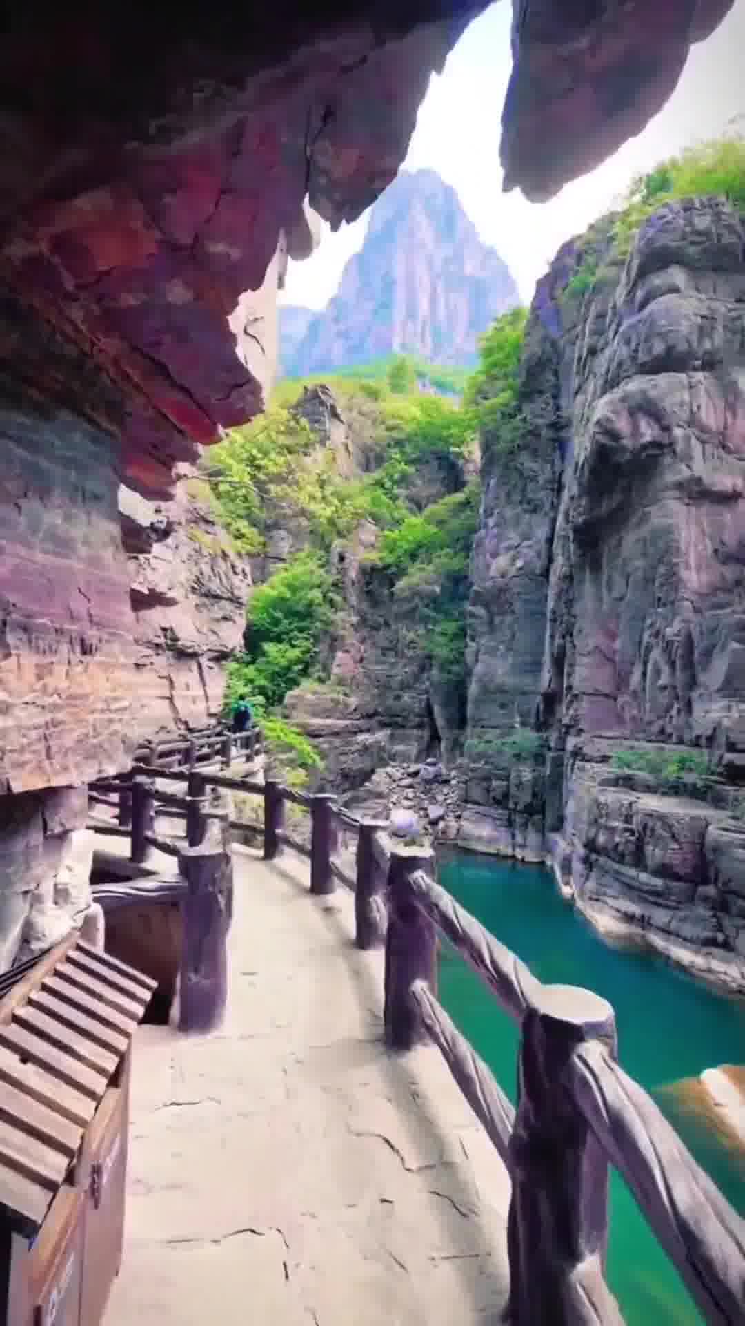 千年寻梦地，河南生活品味之旅🌟🍃