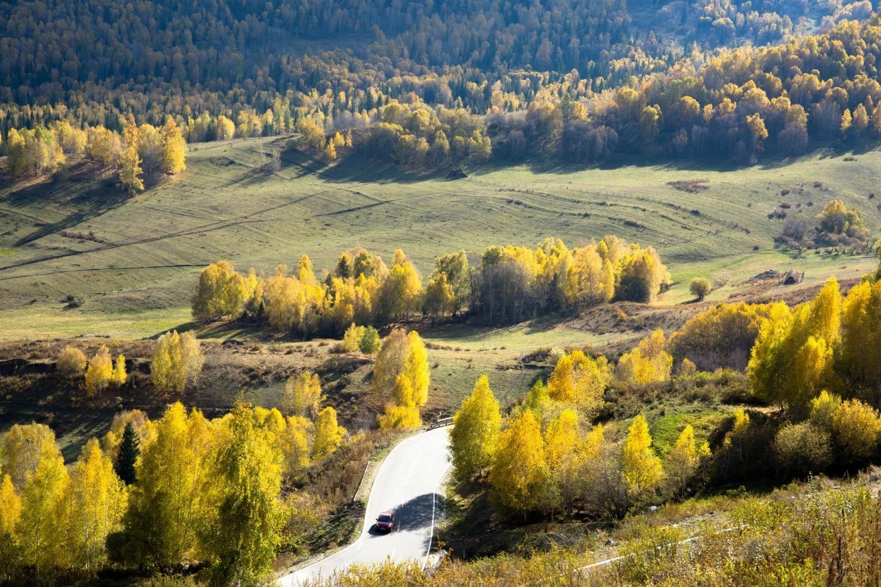 新疆，历史长河中的璀璨明珠闪耀之地
