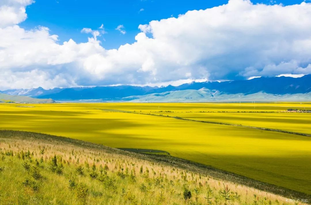 青海，大自然的调色板，播音稿中的色彩盛宴