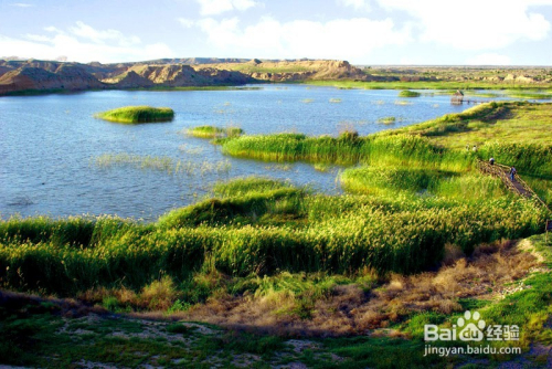 宁夏，丝路明珠新时代璀璨绽放